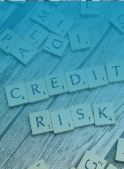 Trade Credit Insurance Protection - Safeguard Your Business from Customer Default